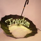 Freedom