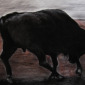 work no.19 (Minotaur)