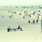 beach games