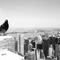 My City