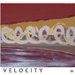 VELOCITY