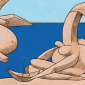 On the Beach, Discovering