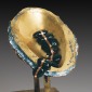Seed Pod