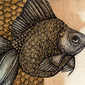 Goldfish