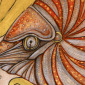 The Chambered Nautilus