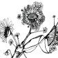 Flower 6