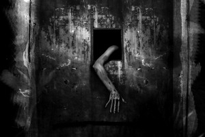 Stephen Parke