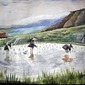Ricefield