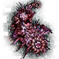 Insect 02