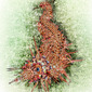 Insect 03