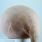 Eidetic 1