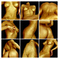 GUERRY DORE COMPOSITE