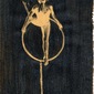 Ballerina  (2010)