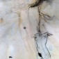 Creation