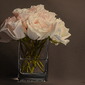 White Roses