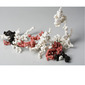 Ceramic Cells