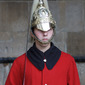 The Queen's Life Guard
