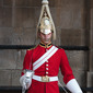 The Queen's Life Guard