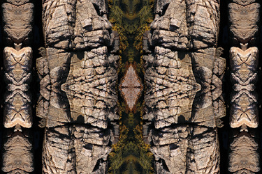 Collection Acadia Montages; created by MF Wolik
