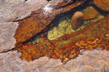 Collection Acadia Coastal Photographs; created by MF Wolik