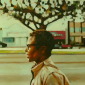 soul tree