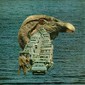 Untitled Collage