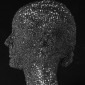 Siri head 