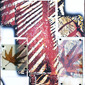 A picket fence through Autumn Leaves