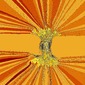 Orange tree