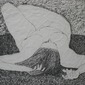 Reclining Nude