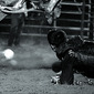 Cowboy Down