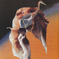 Bird Brain