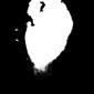 Forma III
