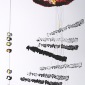 Passage 31