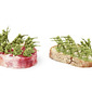 Soldaten auf Fleisch und Brot.