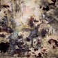 Argument in the Cave