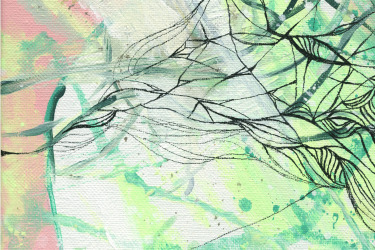 Collection new lune; created by molly graham