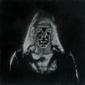 The Ghost in the Machine