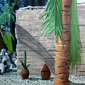 Untitled - Inertias series