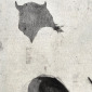 Toro with bow