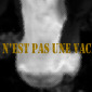 CE N'EST PAS UNE VACHE