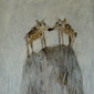 Alice Leach