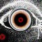 RADIOFISHEYE