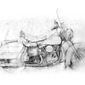 HARLEY SHOVELHEAD