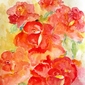 Red roses and Oginski polonaise