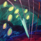 Colorimaging-1