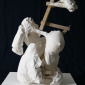 Fragmented Venus