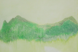 Peng Liu