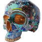 Skull 4 by Miranda Woodard