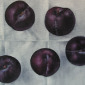 Plums on White Napkin